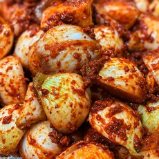 신선계절가 국내산 무안 양파김치, 1개, 1kg