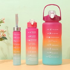 빛나는 판다 HWstork 그라데이션 스포츠 물병 3개 세트 레드 1세트 2000ml, 레드 × 2000ml × 1세트