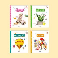 두뇌 톡톡 첫 실사 워크북 B세트 (GROW BOOK 그로우북)