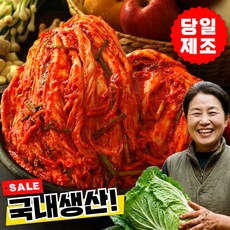 [국내생산100%] 재구매1위 감칠맛 포기김치 배추김치, 1세트, 3kg
