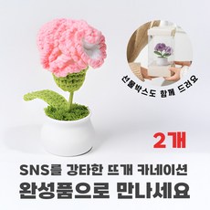 [상상한스푼 카네이션] 완성품 핸드메이드 손뜨개 뜨개질 카네이션, 핑크 그라데이션, 2개