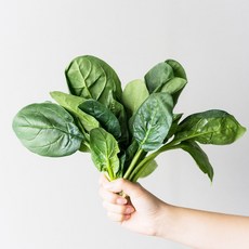 [재주문 1위] 국내산 노지 시금치, 1개, 1kg