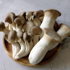 농장직송 손질 느타리버섯 새송이버섯 경남 의령 당일수확발송, 1박스, 느타리버섯 혼합 1kg+새송이버섯 특품 1kg