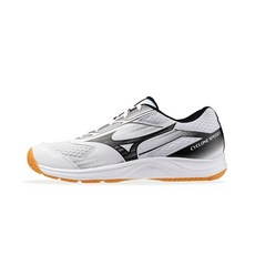 MIZUNO 男 CYCLONE SPEED 5 排羽球鞋-V1GA258055