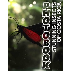 (영문도서) Stunning Insects Of Costa Rica Photo Book: Explore 40 Vibrant Images Of Costa R... Paperback, Independently Published, English, 9798302459848