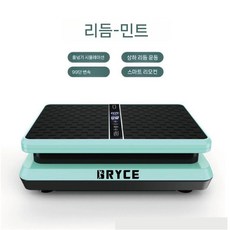 진동운동기 덜덜이운동기구 전신 마사지 홈트 바디슬리머 덜덜이, 에메랄드