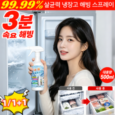 lancore 10배 얼음 제거!전원 차단 없이 해빙 스프레이 결빙 김서림 방지살균 제균, 1개, 500ml