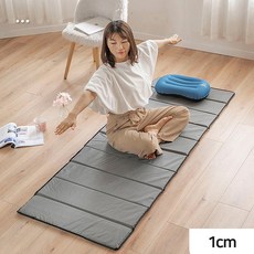 로아딕 푹신한 폴딩매트 캠핑 야외 피크닉 간편한 사용 (보관가방 증정), 그레이
