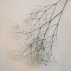 밍블랑 셀프인테리어 디퓨저재료 모음 DIY 디퓨저 공병 섬유스틱 리필오일 디퓨저스틱, 1개, 투톤 미니안개꽃(터콰이즈)