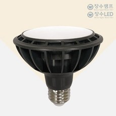 장수램프 일반형 PAR30 LED램프 확산형 전구색 E26, 주광색, 1