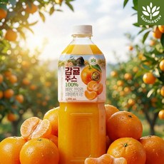 코스트코 발란스그로우 제주감귤 주스 대용량으로 상큼한 맛을 즐기는 여름 필수 음료, 2개, 2L