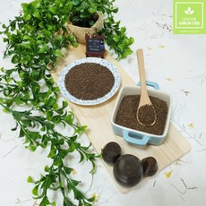 금림식품 자소자 차조기 자소엽 씨앗 200g, 1개