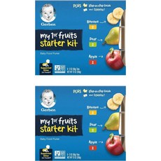 거버 퍼스트 프룻 스타터 키트 3종 Gerber My 1st Fruits Starter Kit, 2개