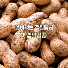[산지직송] 국내산 자연산 햇 삶아먹는 건조 껍질땅콩 생땅콩 피땅콩 1kg 선물용 가정용, 1박스