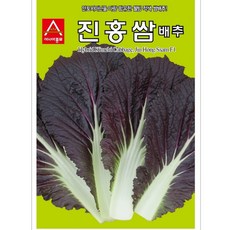 진홍쌈 배추씨앗 배추 종자 500립 팜스마켓, 1개