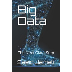 Big Data: The Next Giant Step Paperback, Independently Published