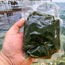 [시즌한정] 당일채취 제철 국산 생 매생이, 1개, 200g