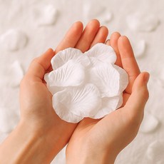솔레르 웨딩촬영 플라워샤워 꽃잎 1000장, 1개, 화이트