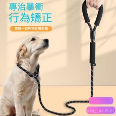 狗狗牽引繩 狗牽繩 加粗寵物牽引繩 防暴衝寵物牽繩 熒光牽引繩 狗繩 牽繩線 牽狗繩外出繩子 溜狗繩遛狗帶 狗狗牽引繩, 1個, 熒光綠【1.2米】,0.8cm【建議5-20斤】