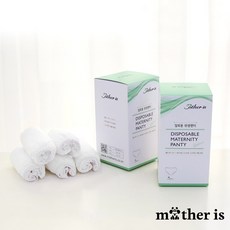 마더이즈 일회용 위생팬티 5매 임부팬티