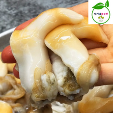 여수 제철 초코 손질 새조개 샤브샤브 급냉, 1개, 여수 [급냉] 손질 [노랑]새조개 200g