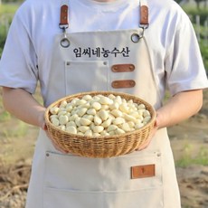 [특품] 남해 깐마늘 남도마늘 햇 생, 1개, 대 2kg