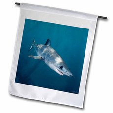 3dRose fl_46332_1 짧은 지느러미 Make Shark/Insures Oxyrinchus San Diego California 사용 동부 태평양 정원 깃발 3.5