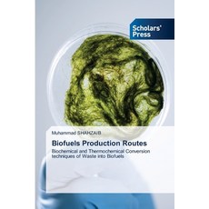 (영문도서) Biofuels Production Routes Paperback, Scholars' Press, English, 9786206771111