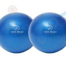 ProBody Pilates 프로바디 필라테스 토닝볼 9인치 운동 볼 안정 바 요가 코어 물리치료 IC, 1개