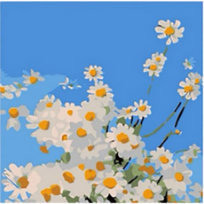 유화그리기세트 diy유화세트 2020 20x20cm 커플그림 고양이그림 미니이젤 증정, 1세트, 마가렛
