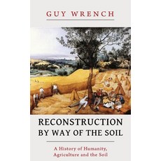 Reconstruction by Way of the Soil Paperback, Distant Mirror