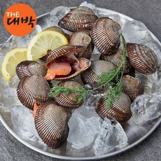 국내산 제철 피조개 남해안 피꼬막 당일조업, 피조개 3kg, 1개