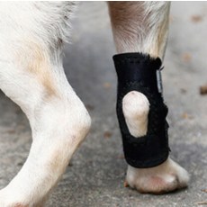 강아지 슬개골 보호대 무릎 다리 뒷다리 보조기, 1개, 댕댕이 관절 보호대 XL