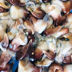 여수 새조개 당일조업 당일손질 산지직송, 1개, 200g