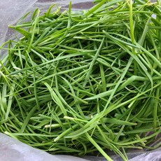 영호네농산물장터 남다른 노지부추 1kg, 1개
