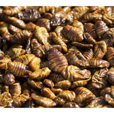 냉동 번데기 4kg, 1개