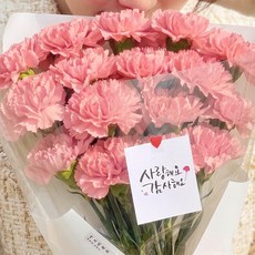 신선보장 주말배송 아르띠콜로 생화 캘리그라피 장미 카네이션 한송이 꽃다발, 핑크 카네이션 꽃송이수, 20개