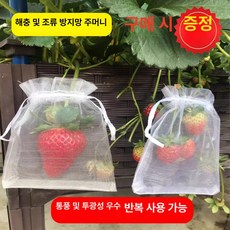 샤인머스켓 봉지 1000매 과수 포장지 복숭아 10x12cm, 10개2개