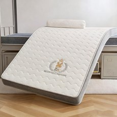 乳膠床墊 可摺叠床墊 記憶海綿軟墊 學生宿舍單人 雙人 軟床墊 台灣現貨, 鉆石白色-厚度10cm-拒絕塌陷,80*190cm（此尺寸限灰色）, 鉆石白色, 10cm