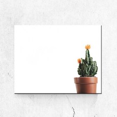 PL038_풀잎식물 선인장 다육이 선인장사진 캔버스액자, 무광일반_S_16cm x 22cm, 1개