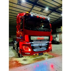 RY日耀貨卡燈藝 DAF六期專用廠徽燈、CF廠徽燈、LF廠徽燈、標誌燈、LOGO燈、車標, 1個, CF,粉色, 粉色