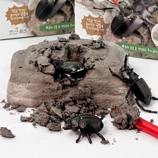 랜덤 곤충 발굴 키트 (12개), 1개