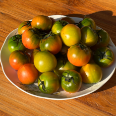 [품절임박] 대저토마토 짭짤이, 1개, 짭짤이)_2.5KG (s-m) 특품