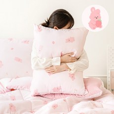 [더 자리] 키덜트 양면 캐릭터 항균 베개커버 50x70 2P, 디자인:05.뽀글비숑(CP223042)