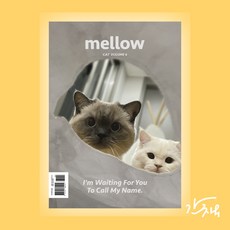 mellow 매거진 캣 vol6 [반려묘 애완고양이 냥집사 귀여운 고냥이 애묘인 책 잡지]