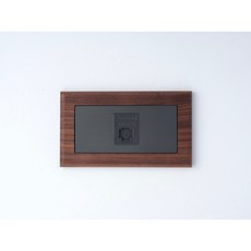 Panasonic國際牌Risna磁吸式黑胡桃木框開關插座面板蓋板【快速出貨】, 1個, 單網路插座（灰