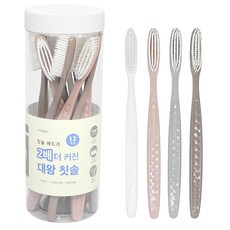 나무이야기 대왕 칫솔 세트, 12개입, 1세트