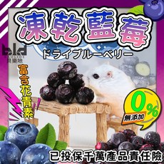 【止渴爽口 0負擔】凍乾藍莓 倉鼠零食 倉鼠點心 小寵零食 天然水果乾 健康零食 寵物水果凍乾 倉鼠凍乾零食, 1個, 5g
