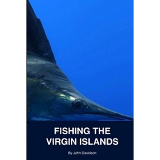(영문도서)Fishing the Virgin Islands Paperback, Independently Published, English, 9798199387774