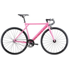 언노운 베이스-X BASS-X, 1개, 545cm, 핑크/와인